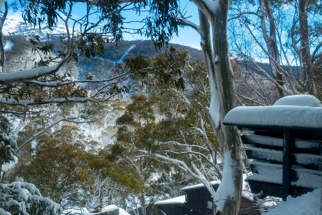 Pure Chalet Thredbo Hotell Eksteriør bilde