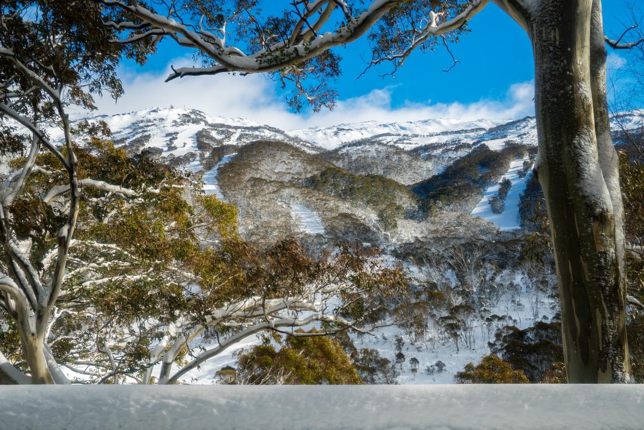 Pure Chalet Thredbo Hotell Eksteriør bilde