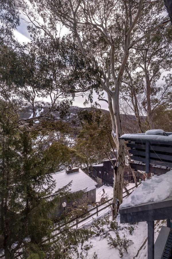 Pure Chalet Thredbo Eksteriør bilde